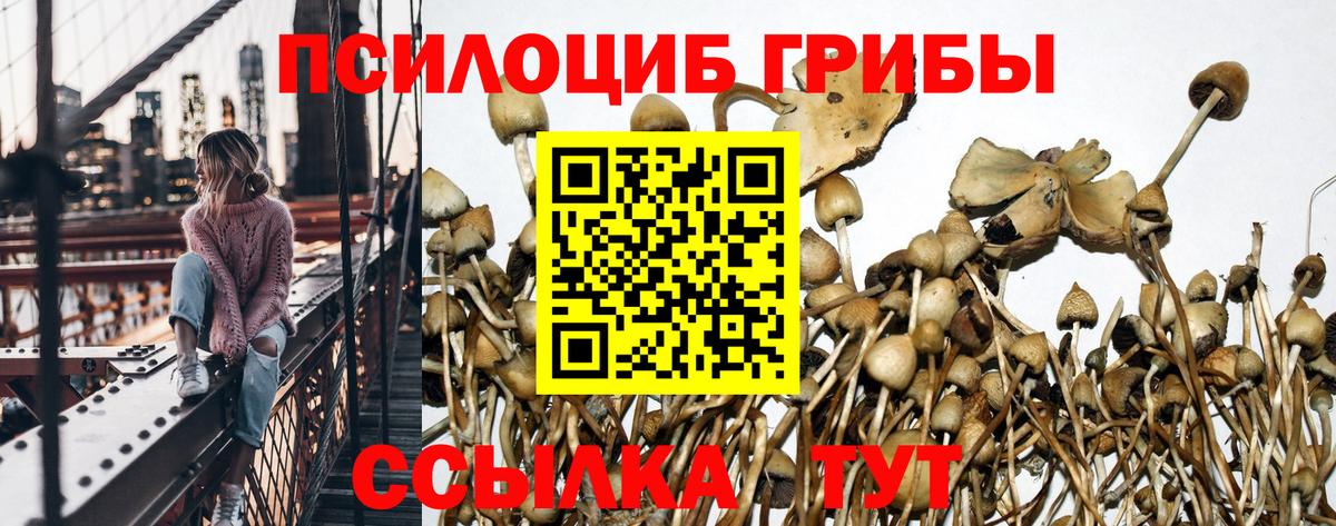 Сафоново  Галлюциногенные грибы мицелий  Вход с VPN 