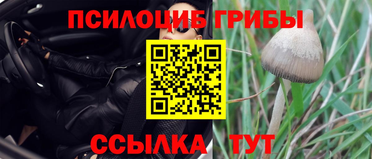 Псилоцибиновые грибы мухоморы Сафоново
